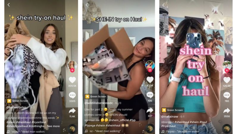 micro-influencers and their SHEIN haul