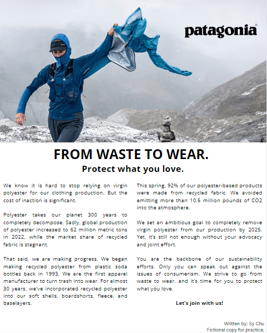 Patagonia's ad copy