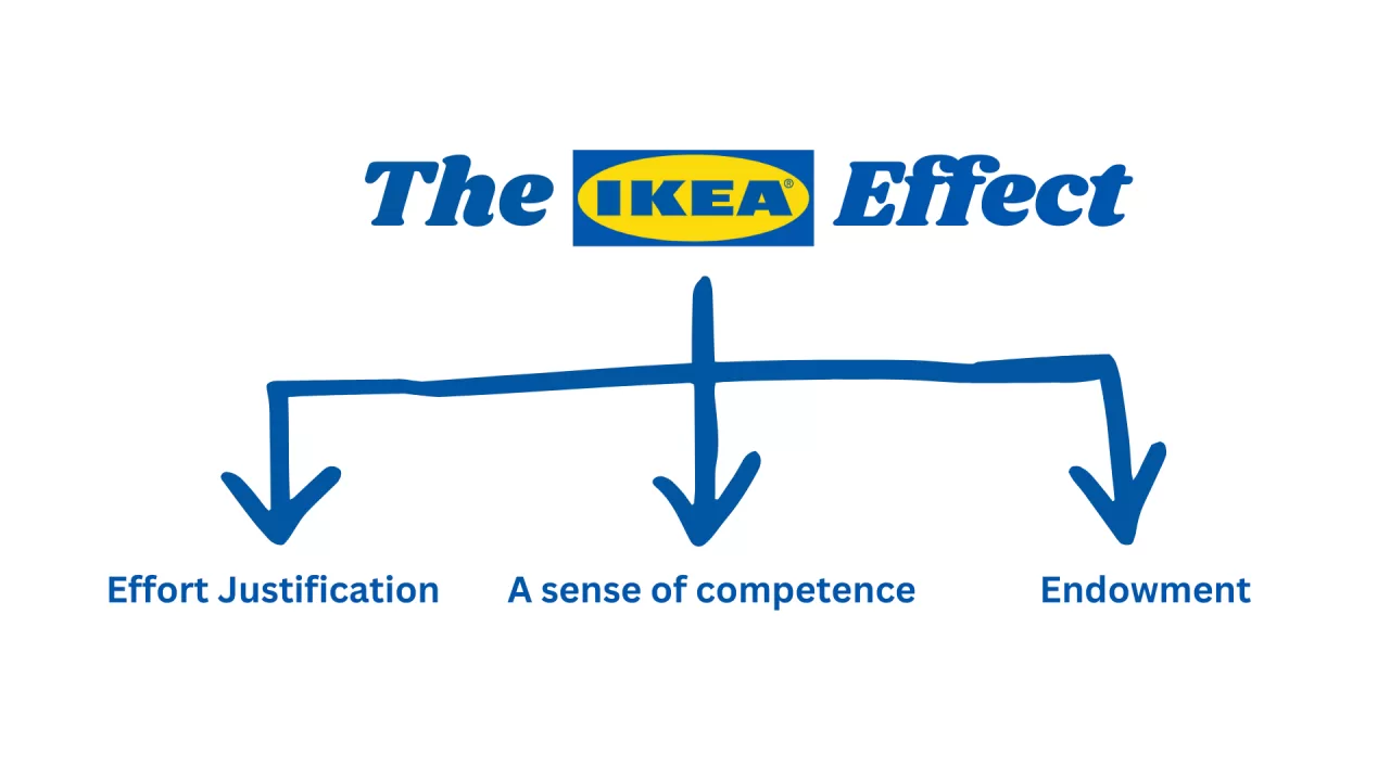 thumbnail for a blog article about IKEA effect