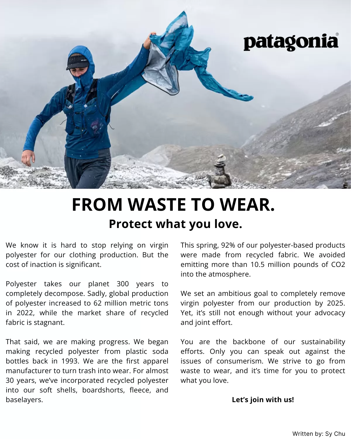 Patagonia - Ad Copy