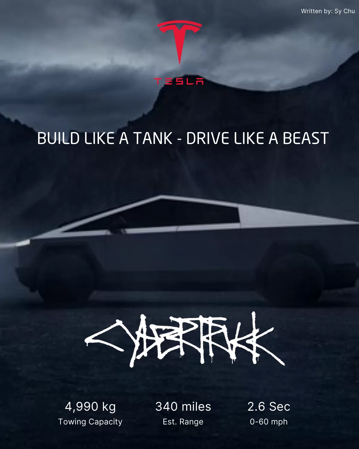 Tesla's Advert Sample